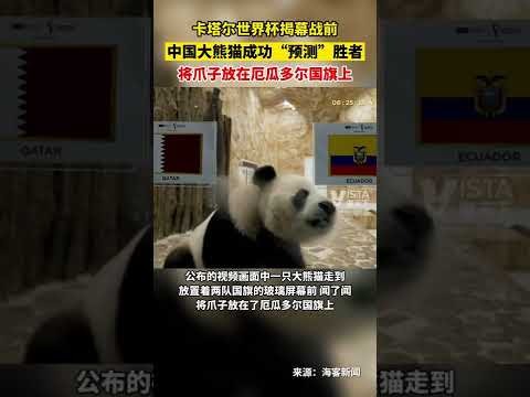 巴西甲风云,再起,昨日,百姓彩票,在线购彩,彩票平台,高频彩票,中奖机会
