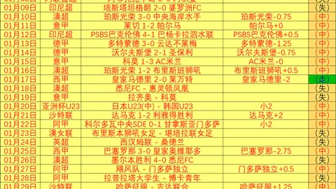 德约科维奇迈阿密赛冠军梦碎，安德烈娃女双组合绽放光芒
